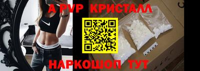 мет Кингисепп