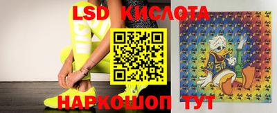 мет Кингисепп