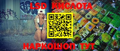 мет Кингисепп