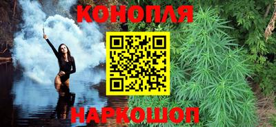 мет Кингисепп