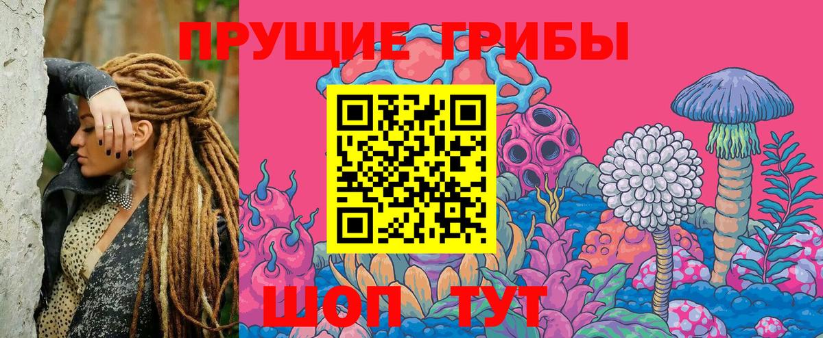 Псилоцибиновые грибы Psilocybe Ленинск-Кузнецкий
